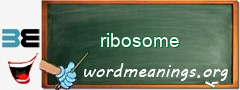 WordMeaning blackboard for ribosome